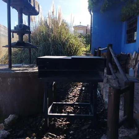 El Quinto Pino *